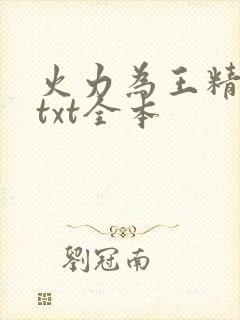 火力为王精校版txt全本