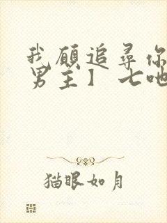 我愿追寻你【双男主】 七吔