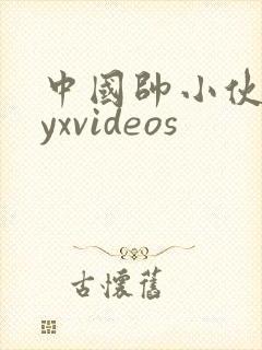 中国帅小伙gayxvideos