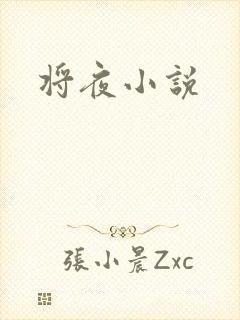 将夜小说封面