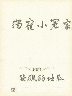 独宠小冤家封面