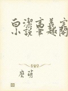 白洁高义完整版小说笔趣阁封面