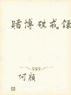 赌博破戒录封面