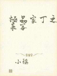 极品家丁之远方来客