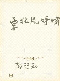 西北风呼啸的中午