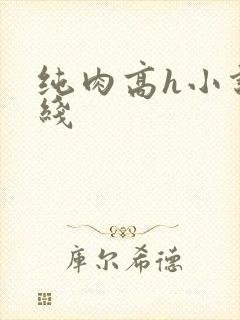纯肉高h小说在线封面