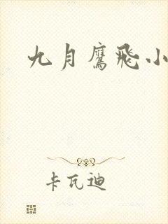 九月鹰飞小说
