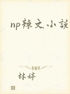 np辣文小说封面