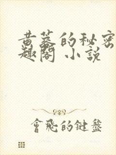 黄蓉的秘密 笔趣阁 小说