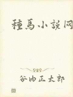 种马小说网