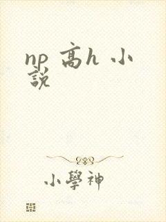 np 高h 小说封面