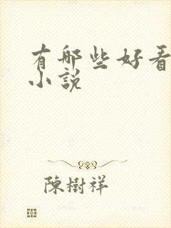 有哪些好看的h小说封面