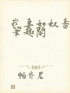 我妻如奴番外篇笔趣阁