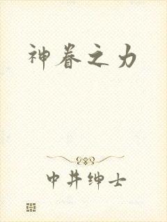 神眷之力封面