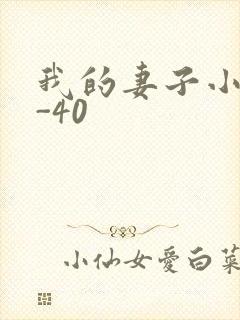 我的妻子小谨1-40
