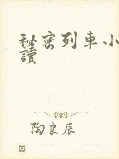 秘密列车小说阅读