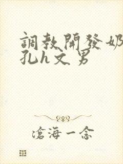 调教开发奶头乳孔h文男