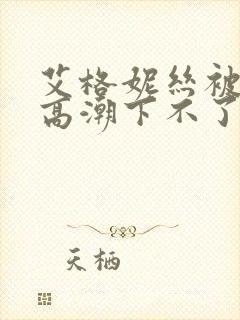 艾格妮丝被揉到高潮下不了床小说封面