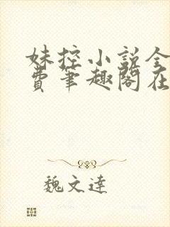 妹控小说全文免费笔趣阁在线阅读