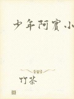 少年阿宾小说封面