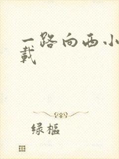 一路向西小说下载