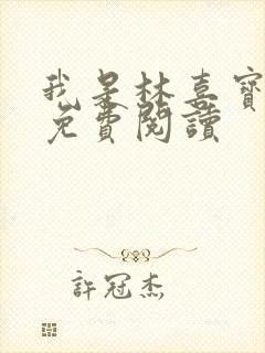 我是林喜宝小说免费阅读封面