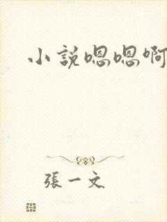 小说嗯嗯啊啊