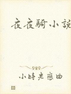 夜夜骑小说