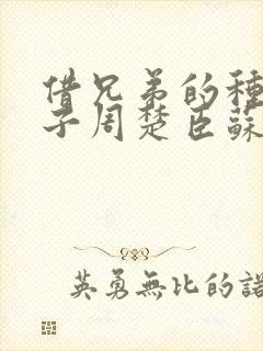 借兄弟的种生孩子周楚臣苏糖