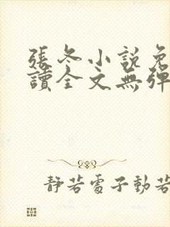 张冬小说免费阅读全文无弹窗封面