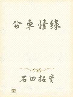 公车情缘
