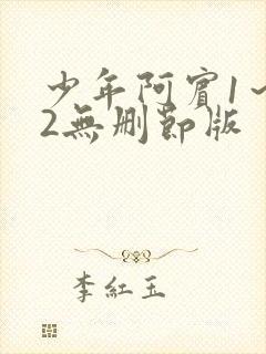 少年阿宾1～72无删节版