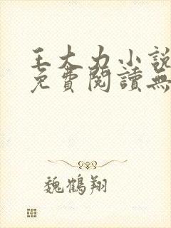 王大力小说小说免费阅读无弹窗封面