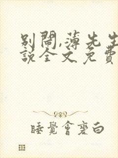 别闹,薄先生小说全文免费阅读