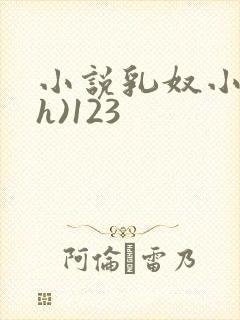 小说乳奴小小(h)123封面