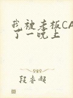 我被老板CAO了一晚上