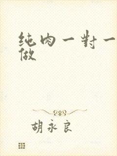 纯肉一对一到处做