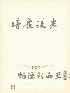 暗夜流光封面