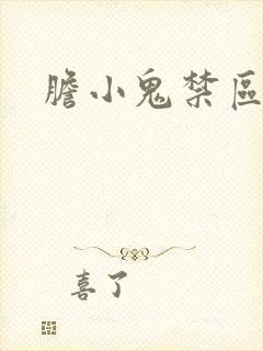 胆小鬼禁区封面