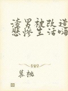 渣男被改造后的悲惨生活嗨小说