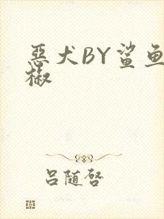 恶犬BY鲨鱼辣椒