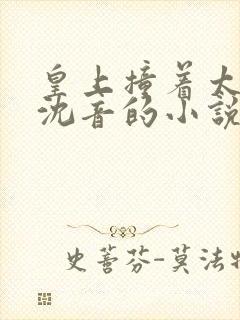 皇上撞着太子妃沈音的小说叫什么