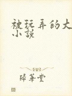 被玩弄的大小姐小说封面