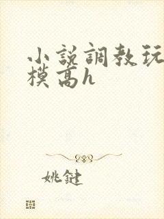 小说调教玩弄嫩模高h