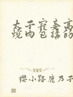 太子宠妾高肉红烧肉包讲的什么