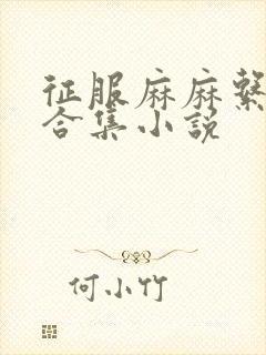 征服麻麻系列大合集小说