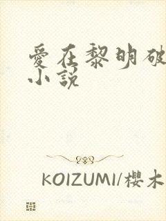 爱在黎明破晓前小说