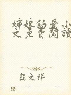 婶娘的爱小说全文免费阅读