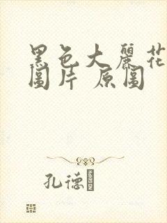 黑色大丽花真实图片 原图封面