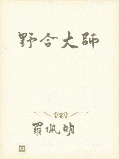 野合大师封面